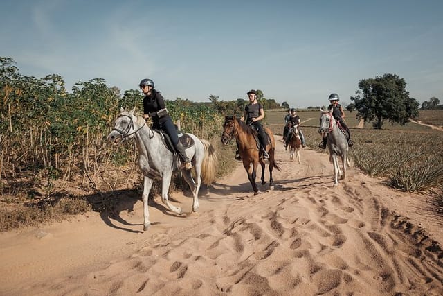 2 Hours Scenic Horse Trail Riding in Pattaya Thailand  - Photo 1 of 10