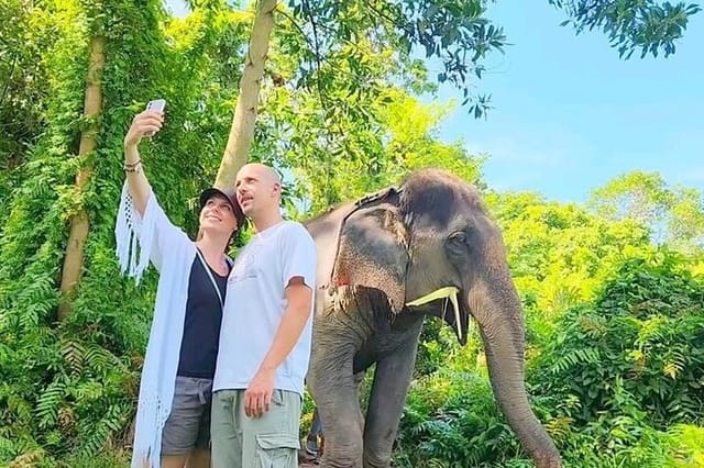 6 Hours Elephant Care and Jungle Tour by 4WD in Koh Samui - Photo 1 of 13