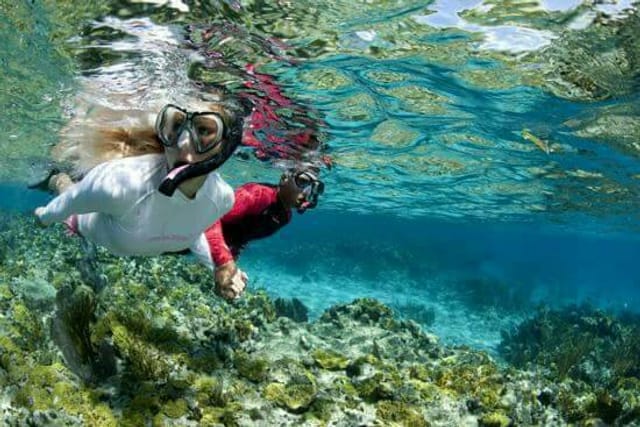 Angthong Snorkelling and Kayaking Tour by Speedboat - Photo 1 of 6