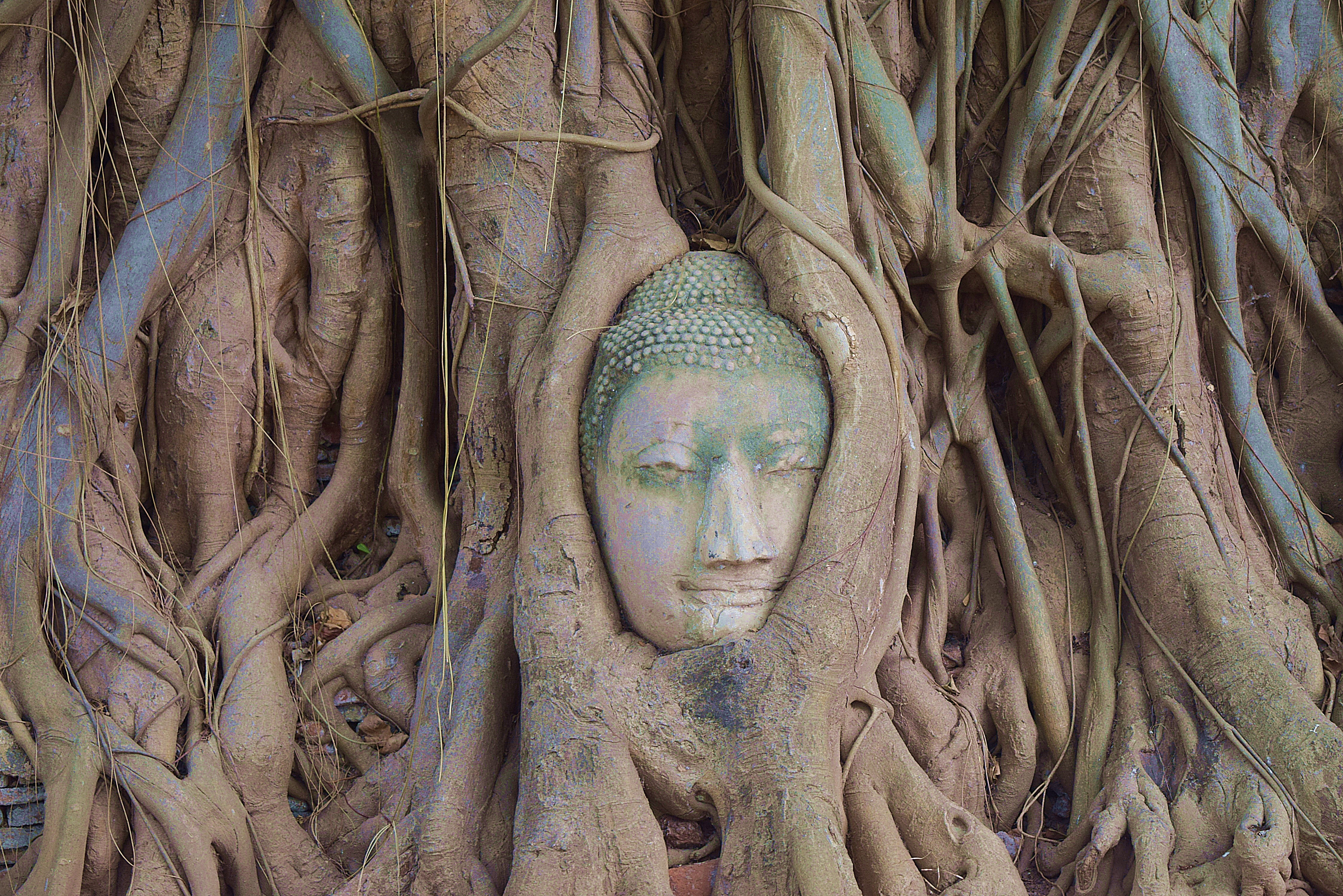 Ayutthaya Small Group Guided Tour with Lunch	 - Photo 1 of 8