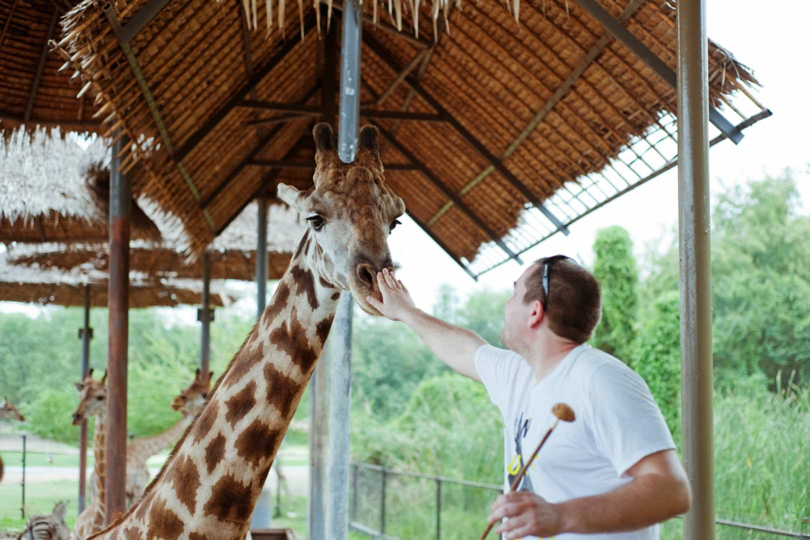 Bangkok Private Day Tour: Safari World with Chocolate Ville or Botanist Activity Space & Cafe and Jodd Fairs - Photo 1 of 10