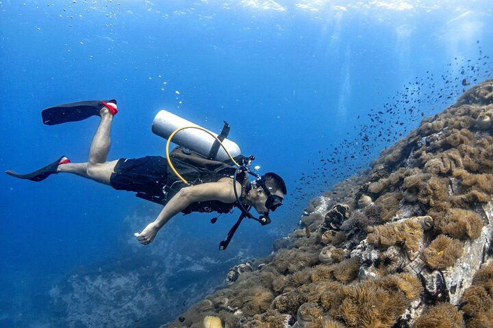 Basic Diver ( One Day Experience) - Photo 1 of 7