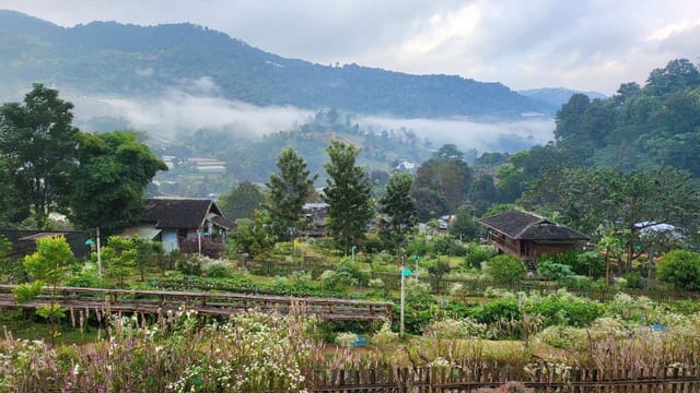 Café Hopping in Mae Rim Private Tour - Photo 1 of 25