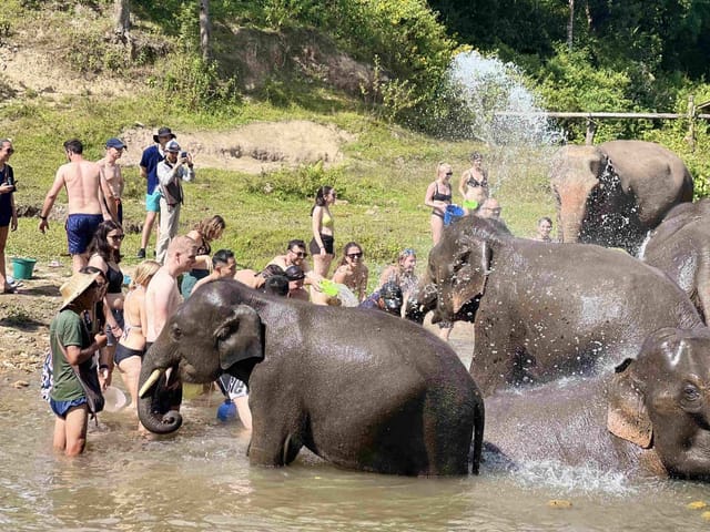 Chiang Mai Day Trip: Ethical Elephant Sanctuary and ATV Adventure | Thailand - Photo 1 of 8