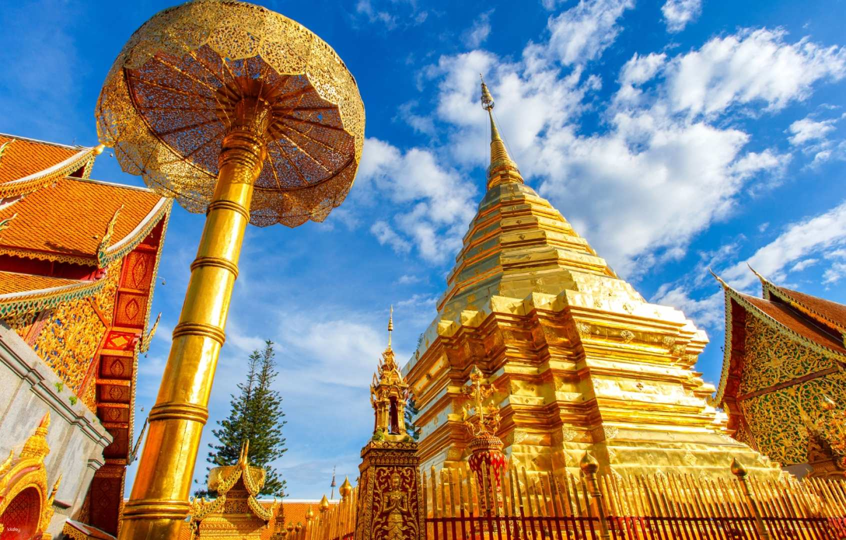 Chiang Mai Doi Suthep Temples & Wat Palat Hike Tour | Thailand - Photo 1 of 6