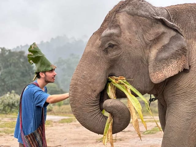 Chiang Mai Living Green Elephant Experience | Thailand - Photo 1 of 9