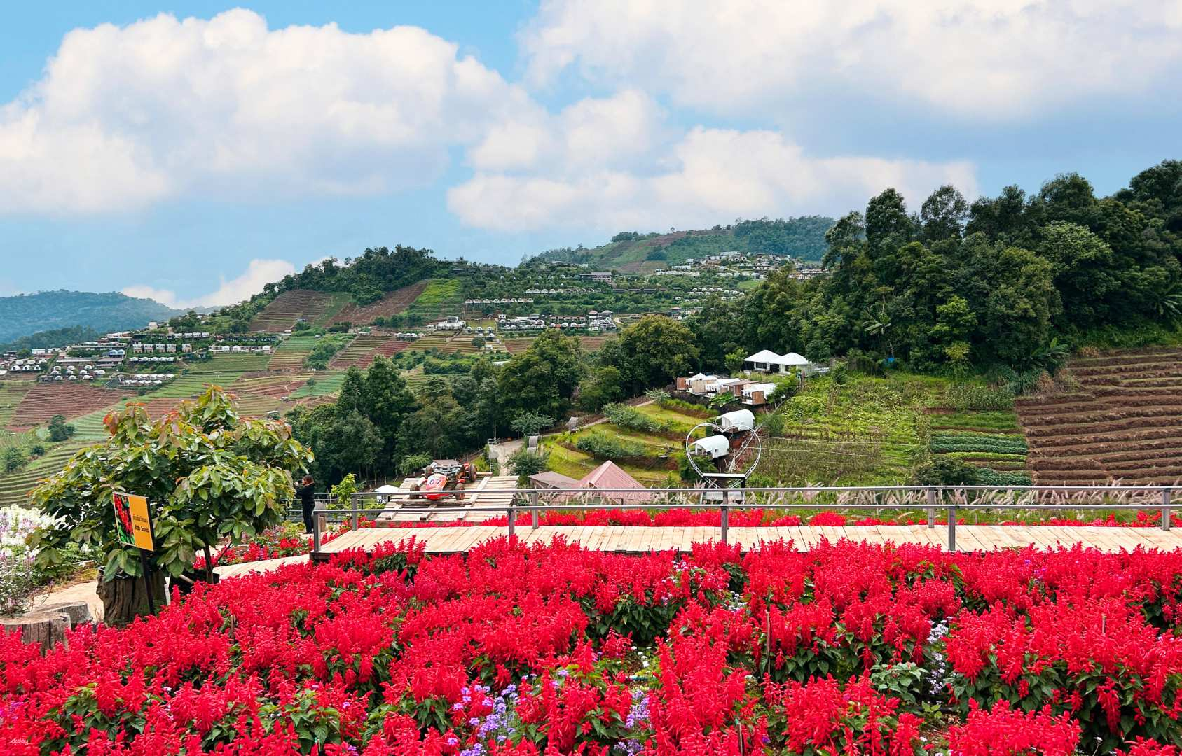 Chiang Mai Moncham Multi-Day Private Charter Tour | Thailand - Photo 1 of 8