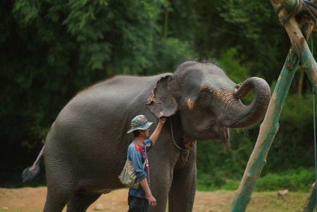 Chiang Mai: Private Elephant Care, Bamboo Rafting, Long Neck Karen and Zipline Full Day Program | Thailand - Photo 1 of 10