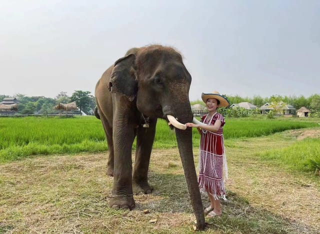 Chiang Mai Satian Elephant Park Tour | Thailand - Photo 1 of 8