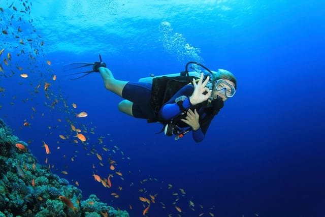 Discover Scuba Diving