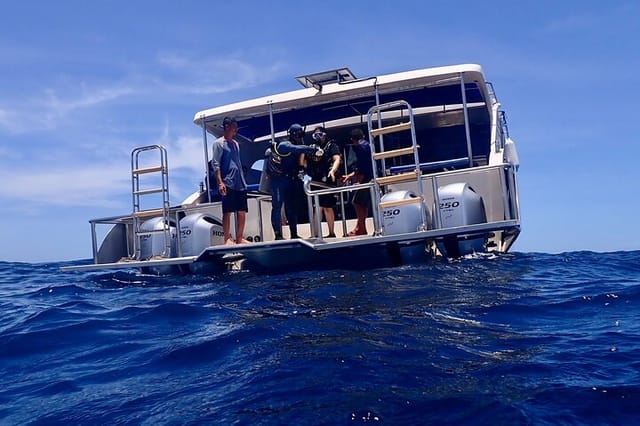 Diving in Koh Tao - Photo 1 of 16