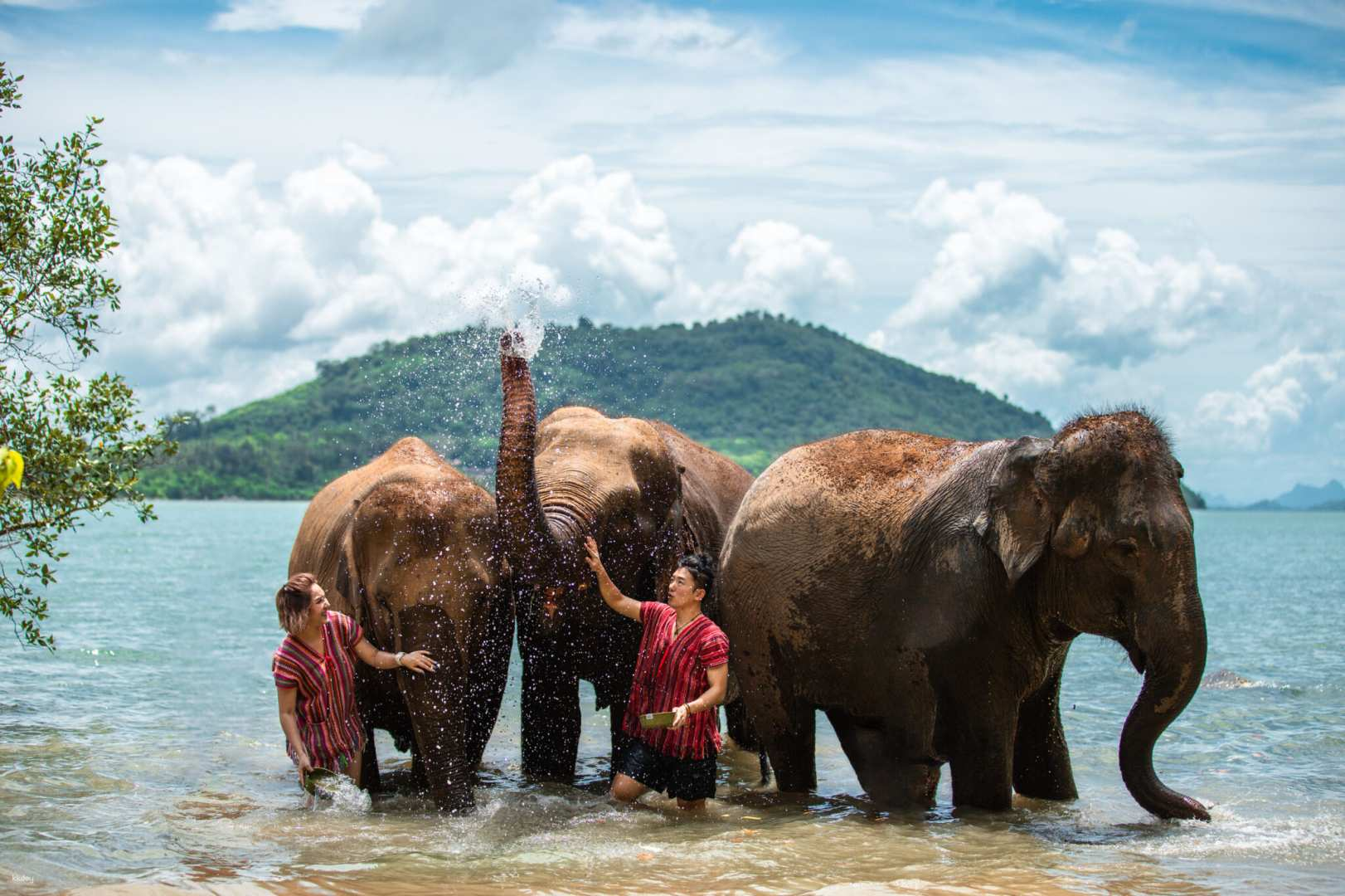 Elephant Care Camp at Siray Phuket | Thailand - Photo 1 of 9