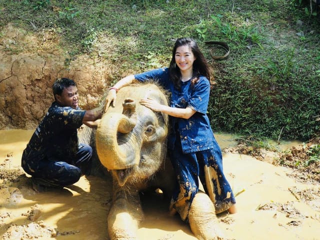 Elephant Care Experience: Feeding, Bathing & Mud Spa in Phuket | Thailand - Photo 1 of 10