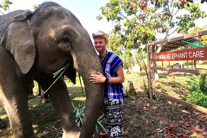 Elephant care program at Chiangmai Elephant Care - Photo 1 of 25