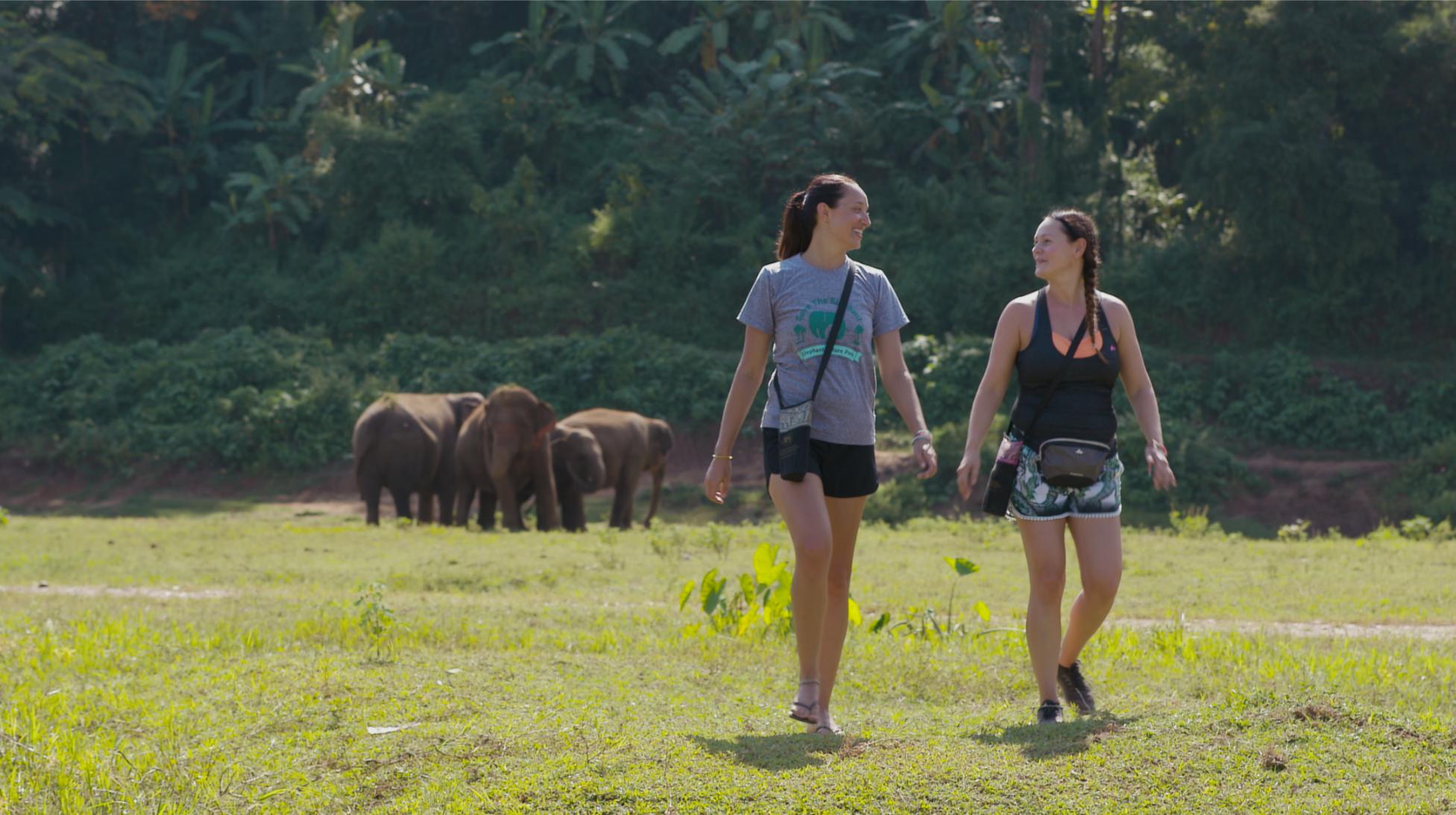 Elephant Day Care at Kanta Elephant Sanctuary - Photo 1 of 10