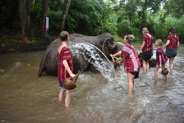 Elephant Discovery Chiang Mai | Thailand - Photo 1 of 7