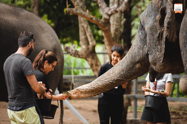 Elephant Jungle Sanctuary Samui - Photo 1 of 10