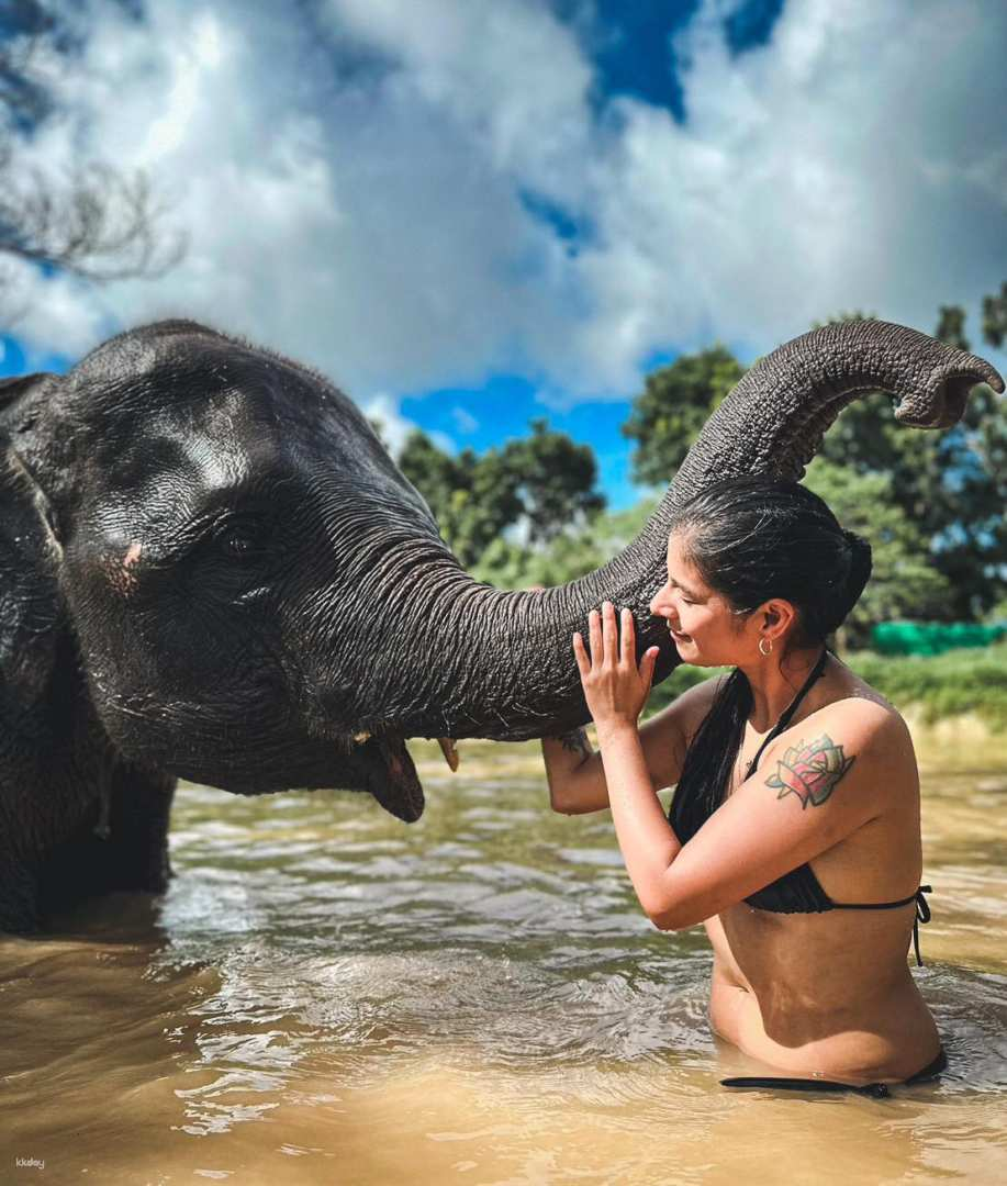 Elephant Lover Experience: Feeding, Mud Spa, Cooking Class with Elephant | Phuket - Photo 1 of 7