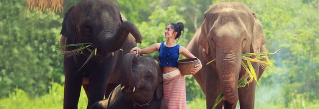 elephant-nature-park-experience-thailand_1
