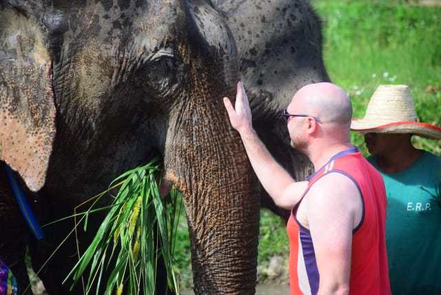 Elephant Retirement Park Chiang Mai: Half-day Programme - Photo 1 of 10