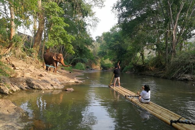 Elephant Sanctuary + Waterfall + Bamboo Rafting One Day Trip - Photo 1 of 7