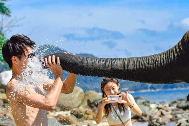 Phuket Elephant Swims in Sea Tour at Lucky Beach - Photo 1 of 10