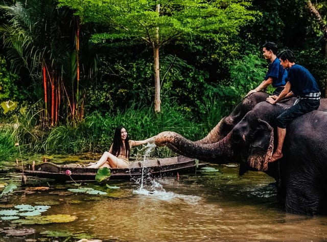 Elephant Trekking & Bathing at Mong Chang Cafe Pattaya | Thailand - Photo 1 of 9