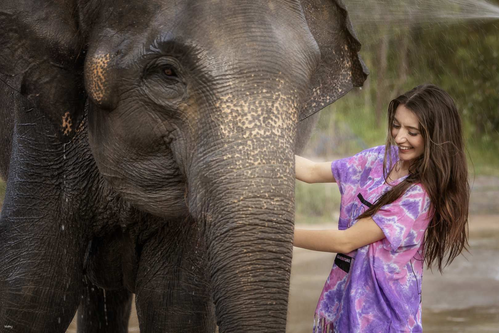 Feed & Shower Experience at Elephant Jungle Sanctuary Chiang Mai (Grand Canyon Branch) | Thailand - Photo 1 of 10