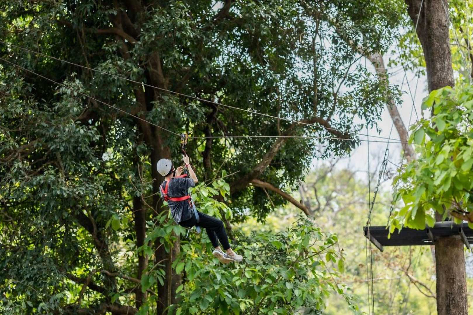 Flying Eagle Zipline | Chiang Mai - Photo 1 of 7