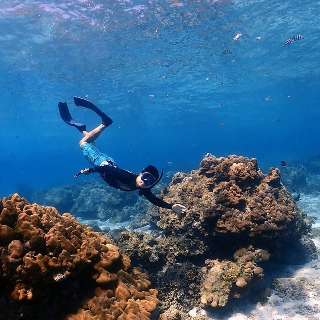 From Khao Lak: Speedboat Tour to Racha Islands with Snorkeling - Photo 1 of 20