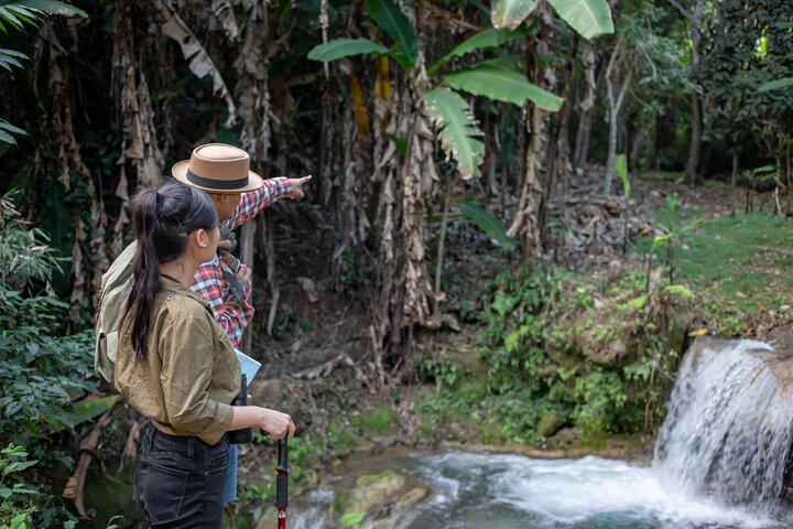 Full day Elephant Sanctuary Tour in Khaolak