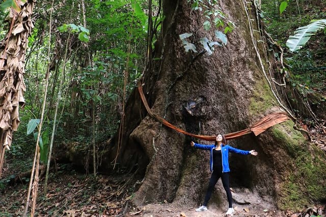 Full-Day Trekking and Sightseeing Tour in Mae Kampong - Photo 1 of 7