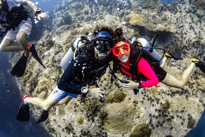 Fun Diving Packages (Certified Divers) - Photo 1 of 8