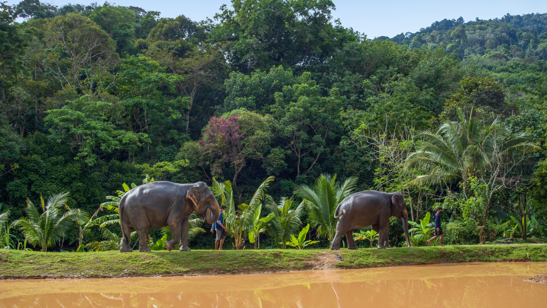 Green Elephant Sanctuary Park - Photo 1 of 10