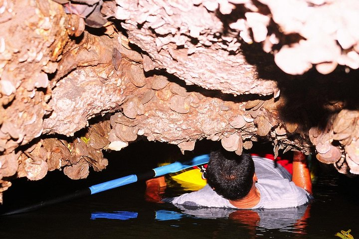 Johngray Sea Canoe Nightlight Tour