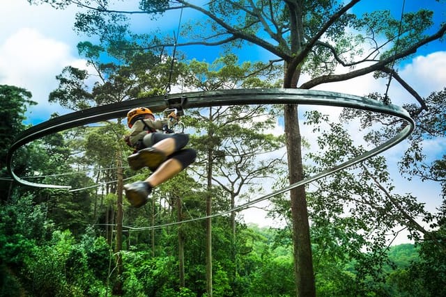 Jungle Flight Zipline Roller Coaster - Photo 1 of 8