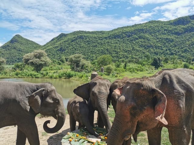 Kanchanaburi Elephant Sanctuary & Erawan Waterfall Tour - Photo 1 of 6