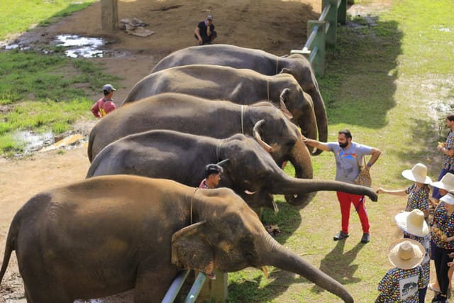 kanta-elephant-sanctuary-experience-half-day-tour_1