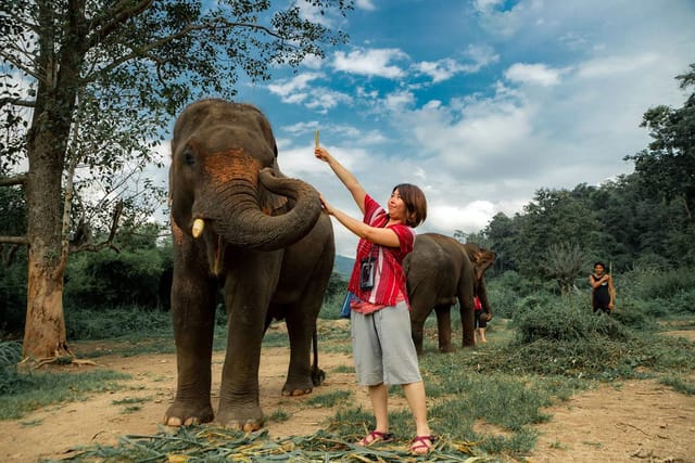 Chiang Mai Kerchor Elephant Eco Park Tour - Photo 1 of 10