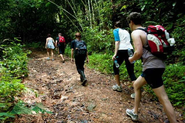 Khao Sok National Park Hiking and Canoeing Day Tour From Khao Lak - Photo 1 of 25