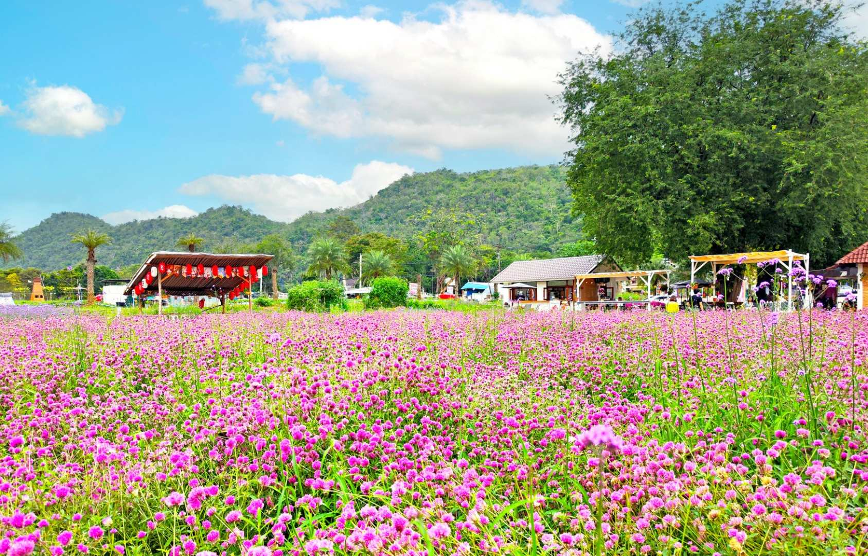 Khao Yai 1-3 Days Private Charter Tour from Bangkok - Photo 1 of 10