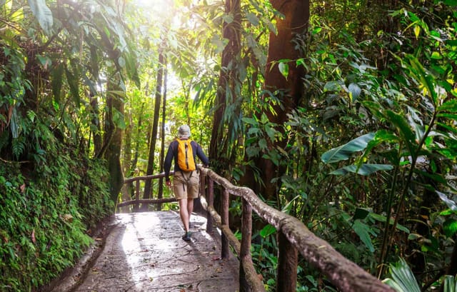 Khao Yai National Park Full-Day Tour from Bangkok | Thailand - Photo 1 of 10