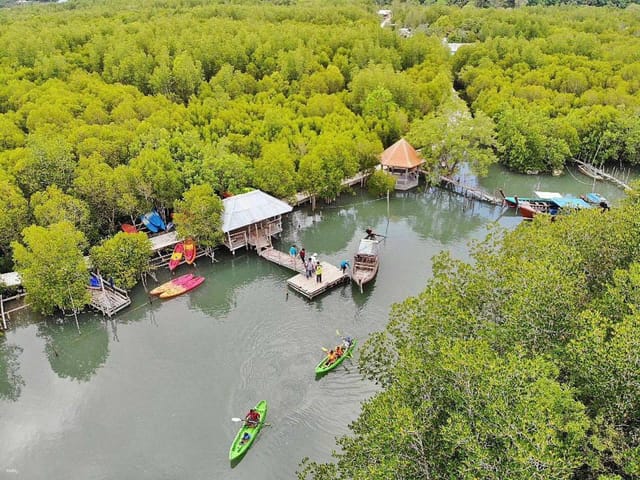 koh-lanta-half-day-mangrove-tour-by-kayaking-thailand_1