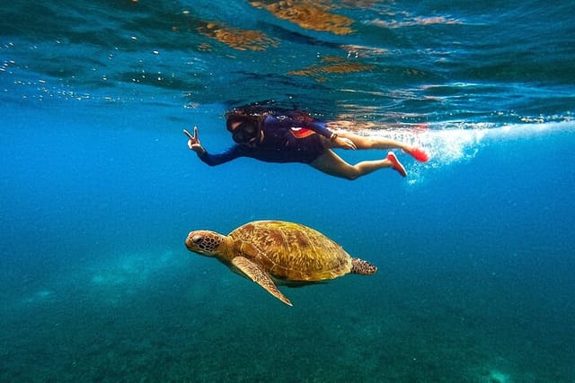 Koh Nang Yuan and Koh Tao 5 Point Snorkeling Tour - Photo 1 of 24