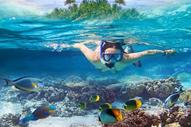 Snorkling at koh Tan!