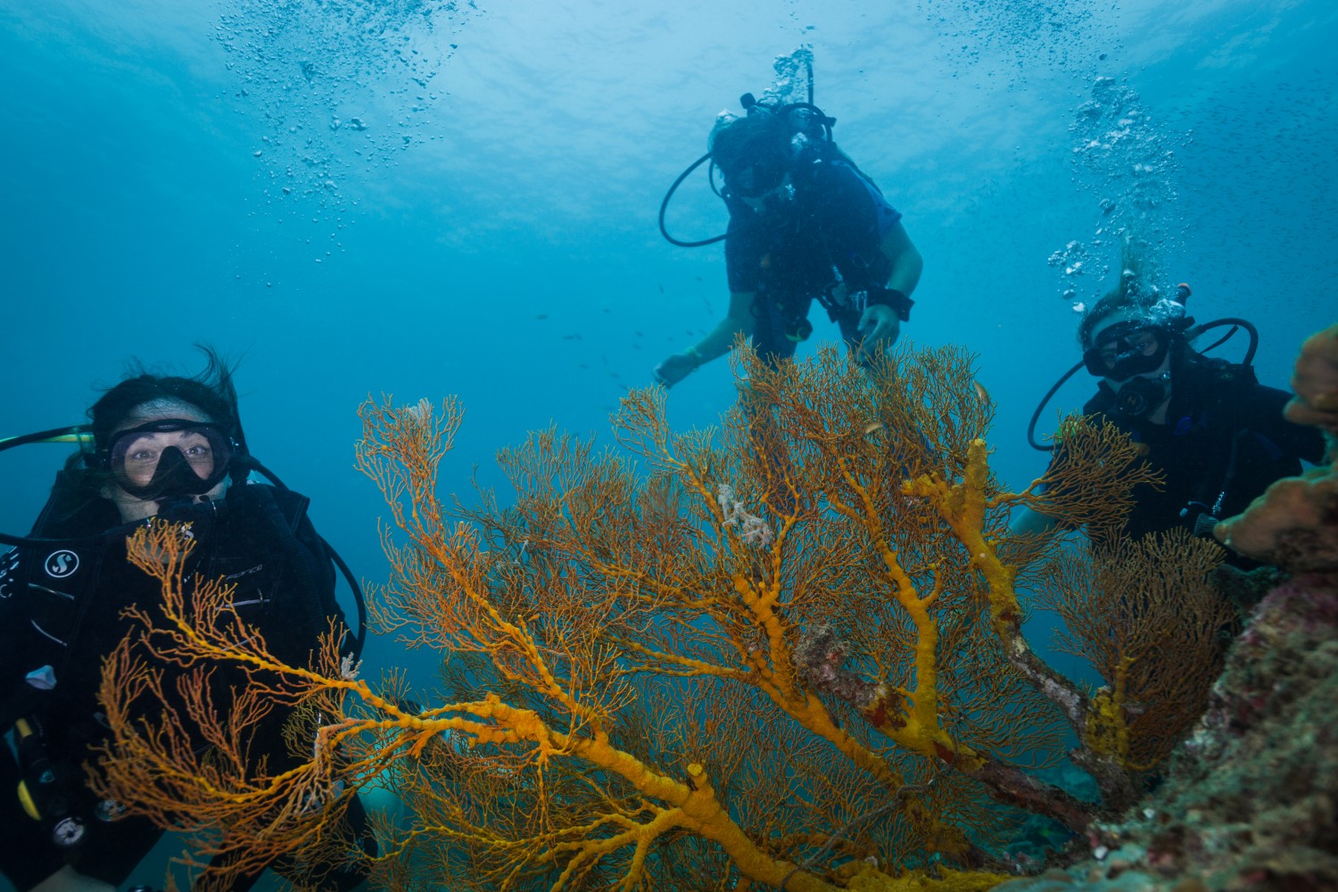 Koh Lipe Scuba Divig Trip - Photo 1 of 9