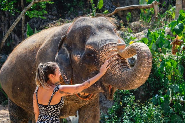 krabi-aonang-elephant-sanctuary-half-day-experience-thailand_1
