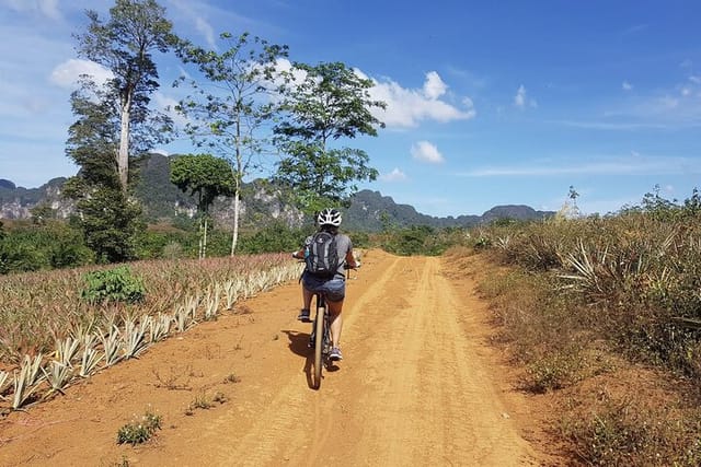 Eco Cycling Tours through Lush Green Krabi