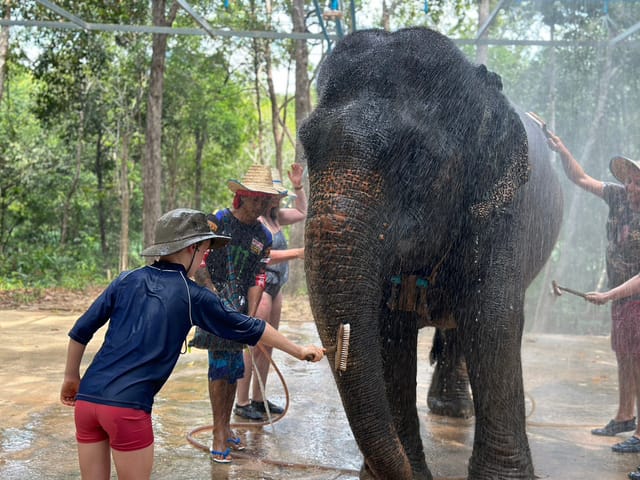 Krabi Elephant Shelter - Photo 1 of 9