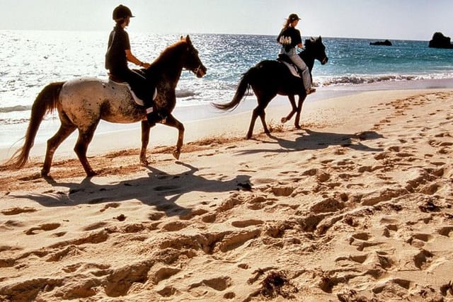 Krabi Horse Riding at Ao Nam Mao Beach